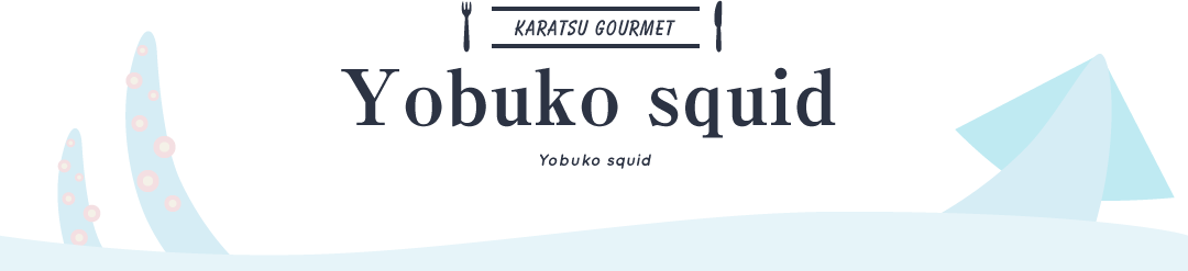 Yobuko squid
