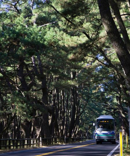 昭和バス特別賞「緑の隧道」神山 宏美 様