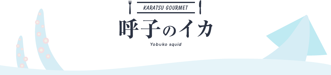 Yobuko squid
