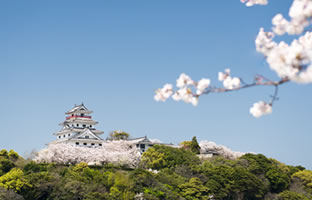 满岛山、唐津城