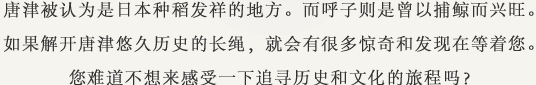 唐津被认为是日本种稻发祥的地方。而呼子则是曾以捕鲸而兴旺。如果解开唐津悠久历史的长绳，就会有很多惊奇和发现在等着您。您难道不想来感受一下追寻历史和文化的旅程吗？