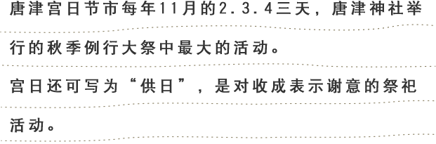 唐津神祭（からつくんち）は、唐津神社の秋季例大祭であり、一般に「からつくんち」と称される唐津地区最大の秋祭りです。「供日」と書き「くんち」と読まれることから収穫感謝の意が
こめられているお祭りです。