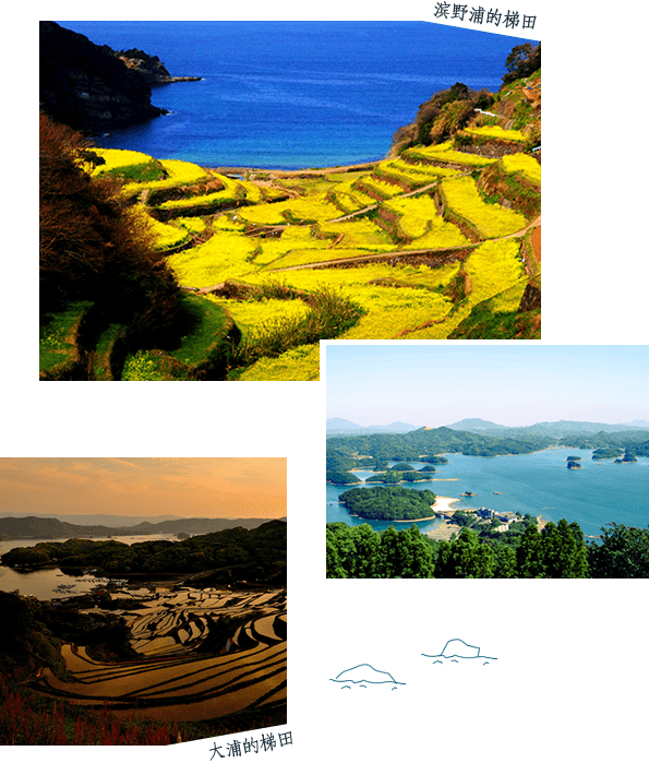 玄海・肥前地区