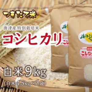 令和７年 上場産コシヒカリ 4.5kg×2袋　当選者数：３名様