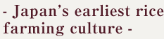 - Japan’s earliest rice farming culture -