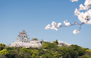 Mt. Mitsushima/Karatsu Castle