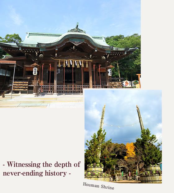 Witnessing the depth of never-ending history