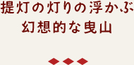 提灯の灯りの浮かぶ
幻想的な曳山