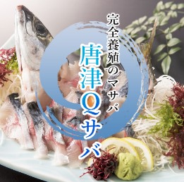 唐津Qサバ