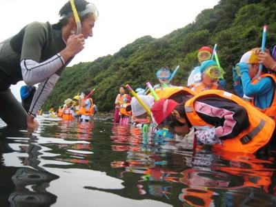 海中見学
