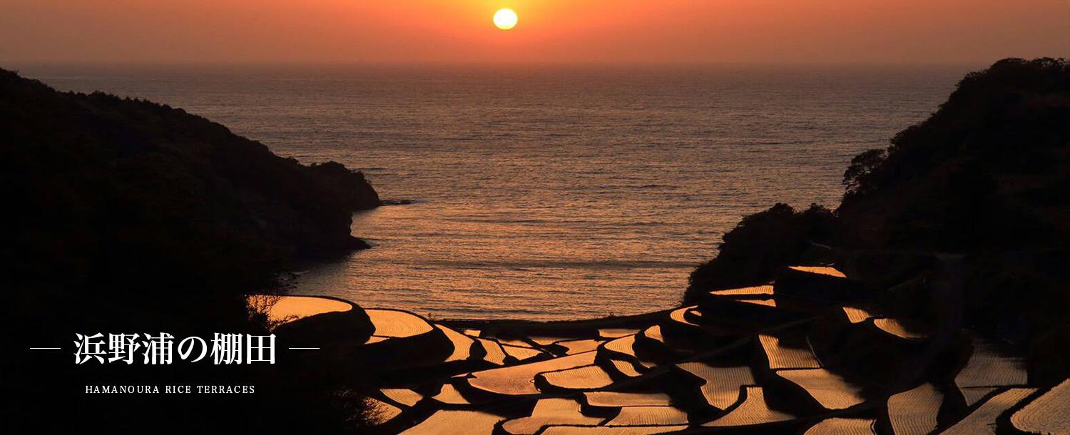 浜野浦の棚田