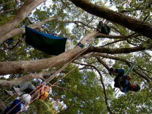 大人も子ども楽しめるロープを使った木登り