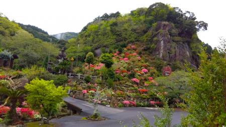 ◎令和8年4月15日16時撮影。