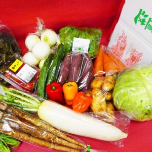 野菜詰合せセット　当選者数：５名様