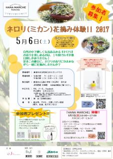 旅karatsu 唐津観光協会 ネロリ ミカン 花摘み体験 17 参加者募集