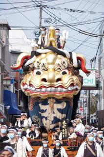 旅Karatsu 唐津観光協会｜唐津くんち 八番曳山 金獅子