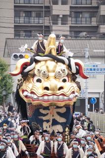 旅Karatsu 唐津観光協会｜唐津くんち 八番曳山 金獅子