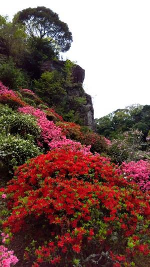 ◎令和8年4月15日16時撮影。