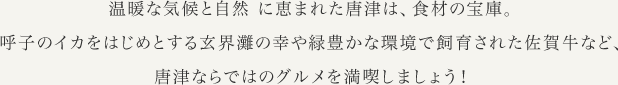 温暖な気候と自然に恵まれた唐津は、食材の宝庫。呼子のイカをはじめとする玄界灘の幸や緑豊かな環境で飼育された佐賀牛など、唐津ならではのグルメを満喫しましょう！
