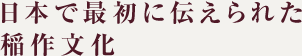 - Japan’s earliest rice farming culture -