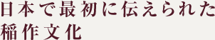 日本で最初に伝えられた稲作文化