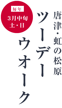 毎年3月中旬の土日「唐津・虹の松原ツーデー ウオーク」