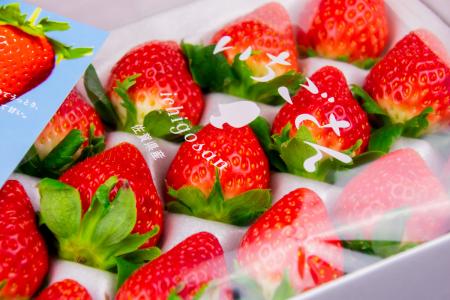 いちごさん900g 4名様