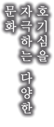 호기심을 자극하는 다양한 문화