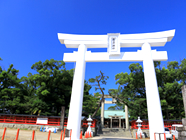 唐津神社鳥居