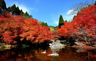 環境芸術の森の画像