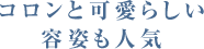 コロンと可愛らしい容姿も人気